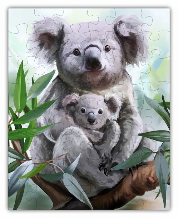 Pull Koala câlin