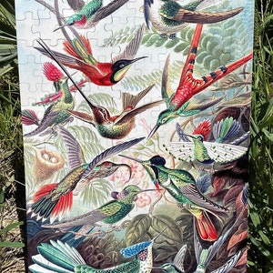 Haeckels Hummingbirds Puzzle 6730 Wooden Jigsaw Puzzle 144pcs 160pcs image 2