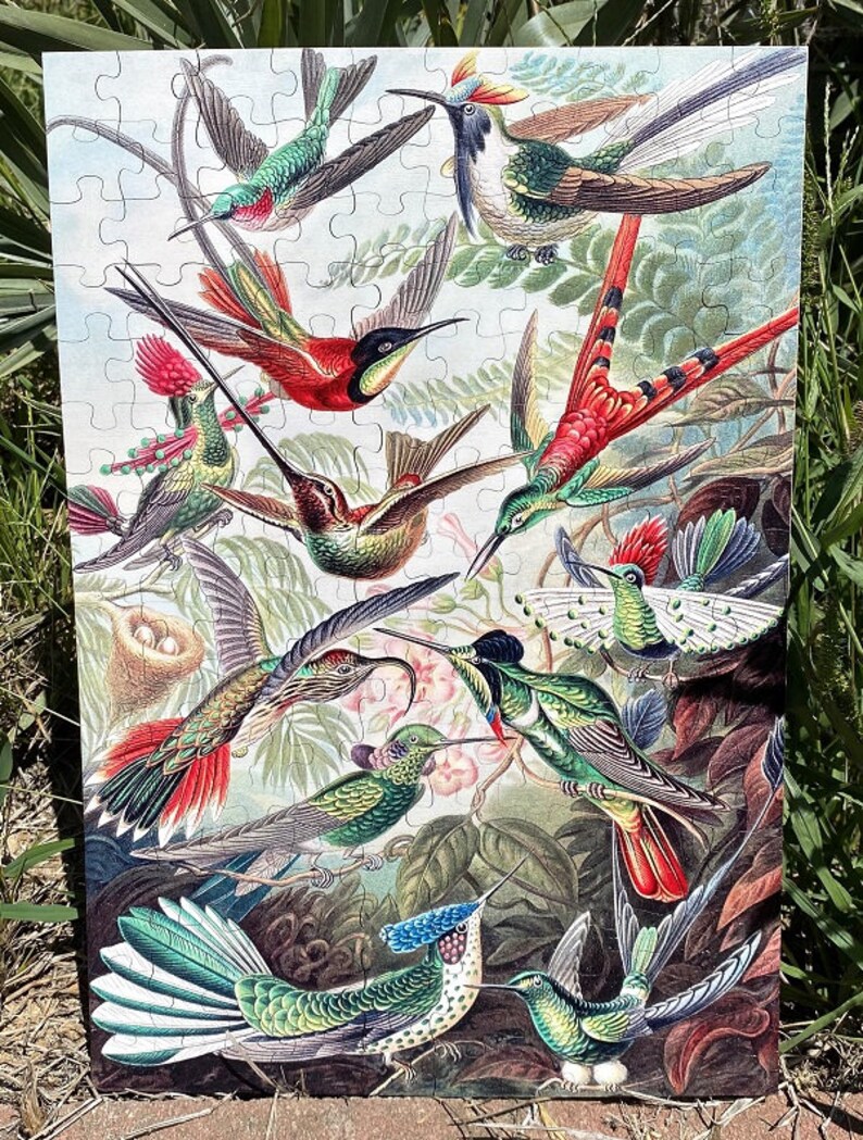 Haeckels Hummingbirds Puzzle 6730 Wooden Jigsaw Puzzle 144pcs 160pcs image 2