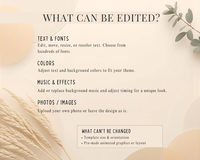 May include: A beige graphic with text detailing editable elements. Text includes "TEXT & FONTS", "COLORS", "MUSIC & EFFECTS", and "PHOTOS / IMAGES". The image also lists what cannot be changed, such as template size and orientation.