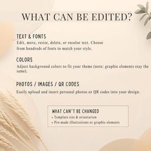 May include: A beige graphic design template with text that reads "WHAT CAN BE EDITED?" and details on editing text, colors, and photos. The image also lists what cannot be changed, such as template size and pre-made illustrations.
