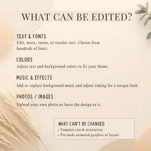 May include: A beige graphic with text detailing editable elements. Text includes "TEXT & FONTS", "COLORS", "MUSIC & EFFECTS", and "PHOTOS / IMAGES". The image also lists what cannot be changed, such as template size and orientation.