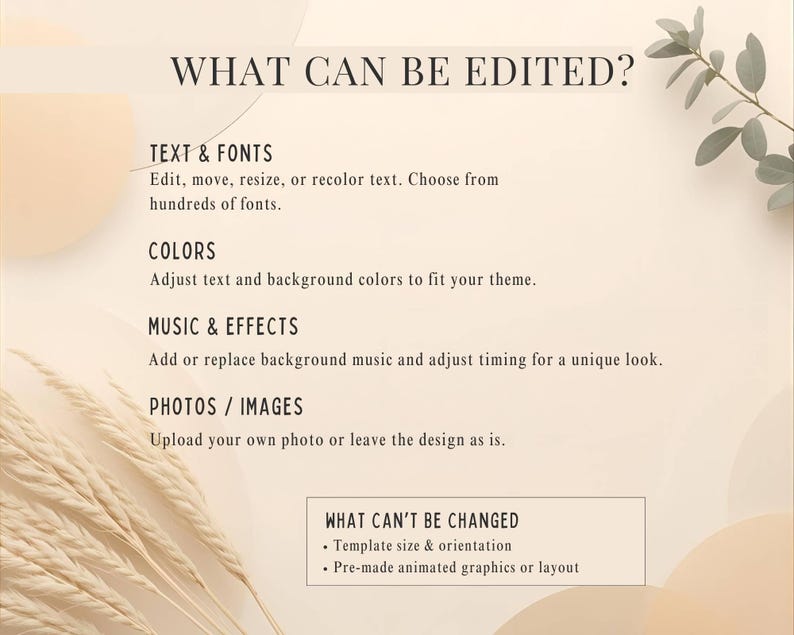 May include: A beige graphic with text detailing editable elements. Text includes "TEXT & FONTS", "COLORS", "MUSIC & EFFECTS", and "PHOTOS / IMAGES". The image also lists what cannot be changed, such as template size and orientation.
