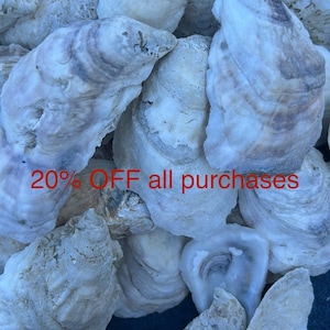 May include: A pile of oyster shells with a textured, off-white and gray surface. The shells have a natural, organic appearance. The text "20% OFF all purchases" is visible in red.