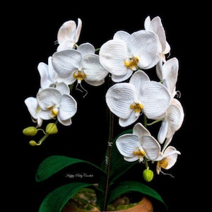 Peut inclure: Une plante d'orchidée papillon crochetée avec des fleurs blanches et des centres jaunes, dans un pot marron avec des feuilles vertes. L'image comprend le texte "Happy Patty Crochet" et "CROCHET PATTERN Moth Orchid" sur fond noir.