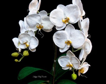 Crochet Moth Orchid Pattern: DIY Floral Decor PDF Tutorial