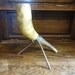 see more listings in the Taxidermy Bone Horn section