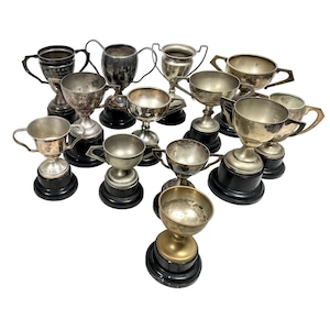 Vintage English Silver Plated Engraved Trophy Cup Collection Job Lot Of Thirteen Prizes Awards c1950-1980s / EVE