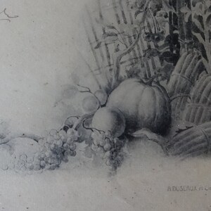 May include: A black and white drawing of a still life featuring a pumpkin, grapes, and asparagus. The drawing is signed "A. Duscaux et Cie Paris".