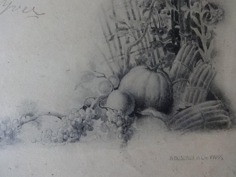 May include: A black and white drawing of a still life featuring a pumpkin, grapes, and asparagus. The drawing is signed "A. Duscaux et Cie Paris".