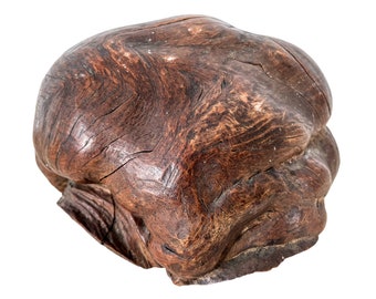 Vintage French Root Ball Stump Burr Paper Weight Office Desk Gift Texture circa 1930-50's / EVE