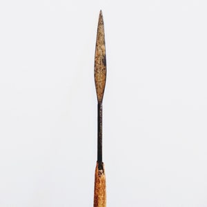 May include: A close-up of a wooden-handled spear with a long, narrow, metal blade. The blade is rusty and has a pointed tip.