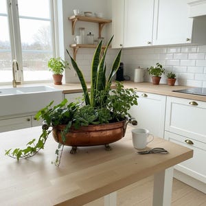 Peut inclure: Un pot en cuivre rempli de diverses plantes vertes, dont des plantes serpent et des succulentes, est posé sur une table en bois clair. Le pot a des poignées décoratives et de petits pieds. Une tasse blanche et des ciseaux sont également sur la table.