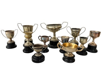 Vintage English Silver Plated Mixed Engraved Trophy Cup Collection Job Lot Of Eleven Prizes Awards c1960-1990s / EVE