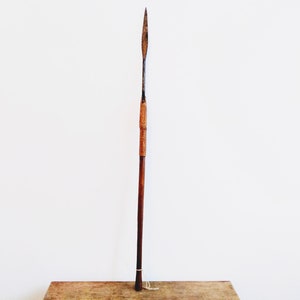 May include: A wooden spear with a metal tip. The spear is about 5 feet long and has a brown wooden shaft. The tip is black and sharp.
