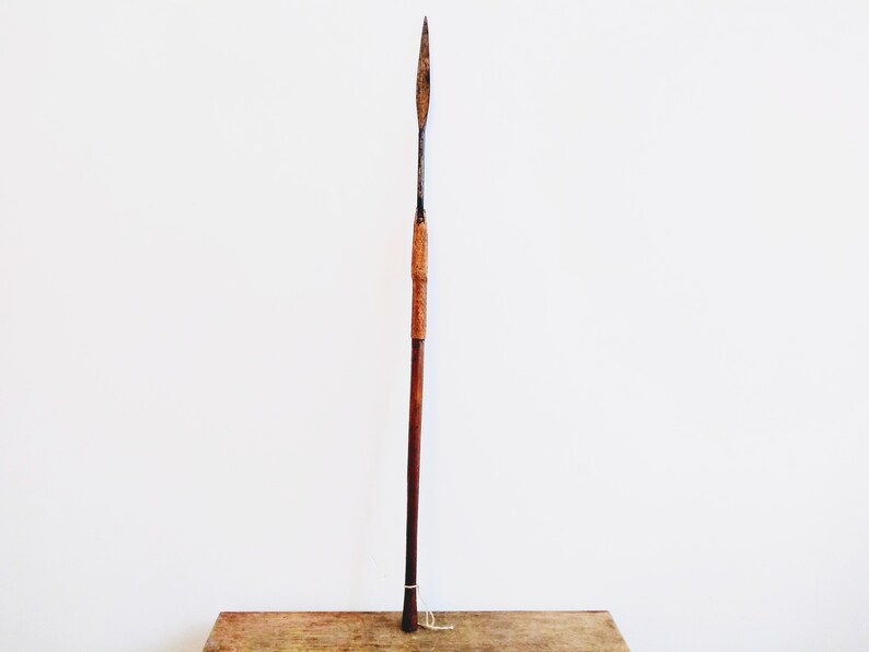 May include: A wooden spear with a metal tip. The spear is about 5 feet long and has a brown wooden shaft. The tip is black and sharp.