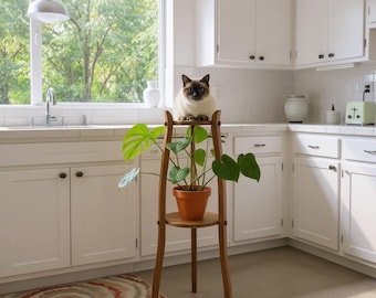 Soporte doble para plantas francés vintage, pedestal, mesa auxiliar, estante para macetas, mesa auxiliar, taburete, c. 1970 / EVE