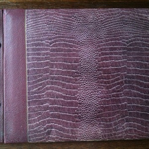 Album de cartes postales photo vintage, imitation peau exotique rouge vin, 20 pages vers les années 1950 / EVE of Europe