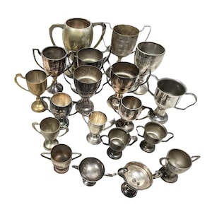 Vintage English Silver Plated Engraved Trophy Cup Collection Job Lot Of Nineteen Prizes Awards c1950-1980s / EVE