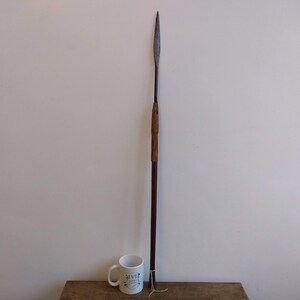 May include: A long, wooden-handled spear with a metal tip. The spear is about 5 feet long and has a dark brown wooden handle. The metal tip is sharp and pointed.