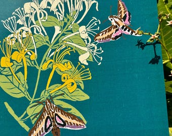 Botanical Wall Calendar 2026 | Hand-Drawn Plants, Birds, Insects