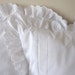 see more listings in the EURO SHAM pillow section