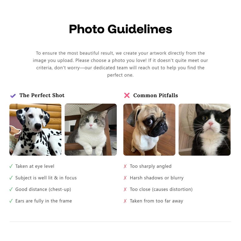 Photo guidelines for best custom pet portraits—examples of perfect shots versus common pitfalls like blur, shadows or extreme angles.