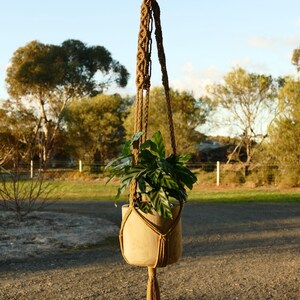 May include: A hanging macramé plant holder with a potted plant. The holder is made of brown rope and features a woven design. The plant has green leaves. The background shows a gravel driveway and trees.