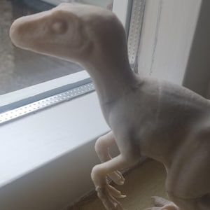 Jurassic park Velociraptor 3d printed
