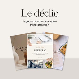 Peut inclure: Plusieurs documents imprimés, dont un livre et des feuilles, avec le titre "Le déclic" et le texte "14 jours pour activer votre transformation". Les éléments suggèrent un thème de développement personnel ou de bien-être, avec des images et du texte.