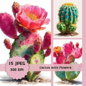 May include: Watercolor illustrations of cacti with vibrant pink and orange flowers. The images showcase various cactus species, including one with a large, open bloom. The text on the image reads "15 JPEG 300 DPI" and "Cactus with Flowers".