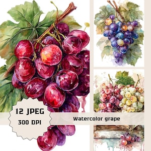 May include: Watercolor painting of a bunch of red grapes with green leaves. The image includes the text "12 JPEG 300 DPI" and "Watercolor grape". The grapes are depicted in a realistic style.