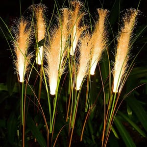 May include: Illuminated outdoor decorative grass. The image shows several faux grass stems with glowing, feathery tops. The stems are green, and the illuminated tops are a warm, golden color. The background is dark, with some green foliage.