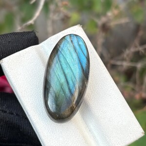 Könnte beinhalten: Ein ovaler Labradorit-Edelstein mit schillernden blauen und grünen Farbtönen. Der polierte Stein wird auf einer weißen Oberfläche präsentiert, die seine natürlichen Muster hervorhebt. Ein schönes Beispiel für natürliche Mineralienkunst.