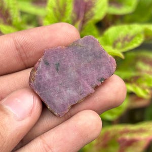 May include: A raw, flat, irregularly shaped ruby gemstone with a deep magenta and purple hue. The stone features a matte, textured surface with visible natural inclusions and dark mineral flecks embedded within the crystalline structure.