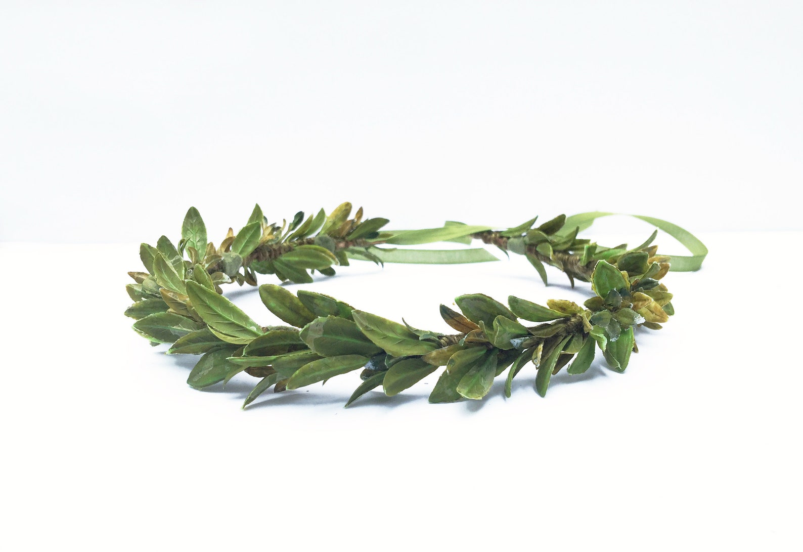 Men s Greek Leaf Crown Greek God Headpiece Toga Costume Etsy
