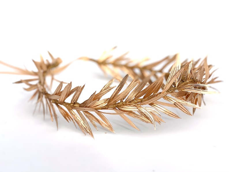 Mens Gold Leaf Crown, Olive Leaf Laurel, Greek Wedding, Groom, Festival Clothing, Toga Costume, Roman Headpiece, Groom, LARP, Gift for Him, image 4