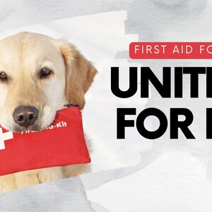 Puede incluir: Un golden retriever sostiene un botiquín rojo con una cruz blanca. La imagen incluye el texto "FIRST AID FOR PETS" y "UNITING FOR LIFE" en negrita y letras negras.