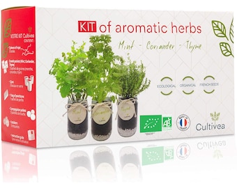 Kit di erbe aromatiche pronte per la coltivazione (menta, coriandolo, timo) – Semi biologici – Idea regalo – Kit per giardinaggio indoor – Regalo per la festa della mamma
