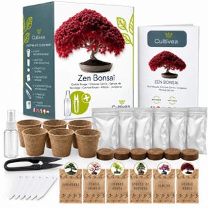 Può includere: Un kit per la coltivazione di bonsai Zen che include una grande scatola e un libretto di istruzioni con l'immagine di un acero rosso. Contiene sei vasi biodegradabili, sei dischi di terra, sei bustine di semi etichettate Juniperus, Cercis, Cornus, Abete, Albizia e Acero, uno spruzzino, forbici e marcatori.