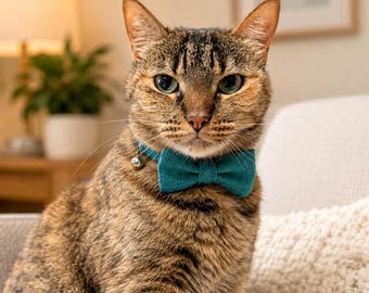 Teal Hemp Cotton Cat Collar with Bowtie and bell