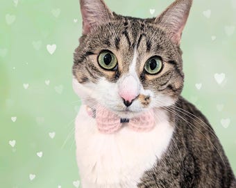 Pink Knit Bow Polka Dot Cat Collar – Soft Breakaway Safety Collar