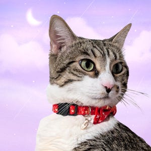 Celestial Cat Collar: Nylon Bowtie, Moon Charm, Breakaway Safety