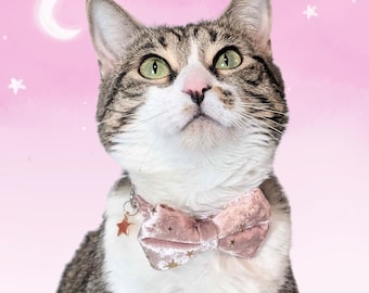 Pink Velvet Star Cat Collar – Breakaway Bowtie with Star Charm