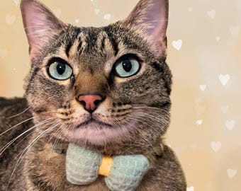 Green Knit Bow Polka Dot Cat Collar – Soft Breakaway Safety Collar