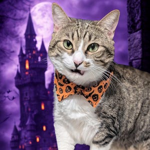 May include: A tabby cat with green eyes and a white muzzle wearing an orange Halloween-themed bow tie with skull and bat designs. The background features a purple castle and a full moon.