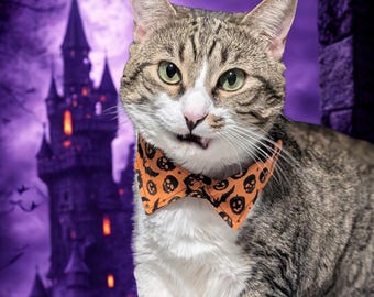 Halloween-katthalsband med skjortkragedesign — Uttagbart och justerbart