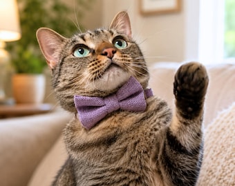 Purple Hemp Cotton Cat Collar with Bowtie and bell