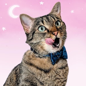 May include: A brown tabby cat with green eyes and a pink tongue sticking out, wearing a dark blue velvet bow tie collar with small star patterns and a gold star charm, set against a light pink background with white moon and star illustrations.