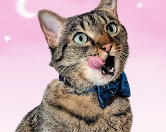 Teal Velvet Star Cat Collar – Breakaway Bowtie with Star Charm